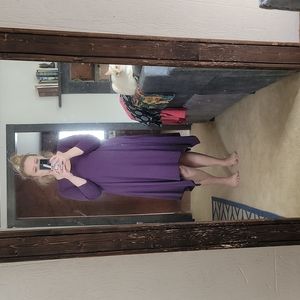 Torrid Purple Dress